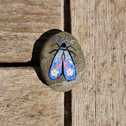 Le Papillon de Nuit