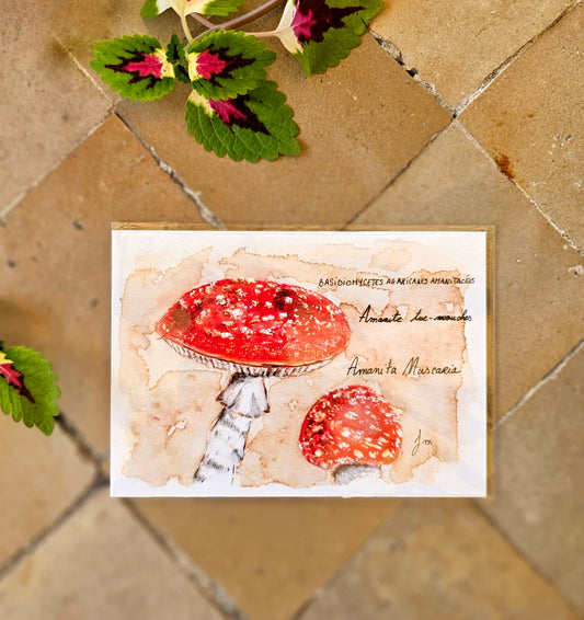 Amanita Muscaria (Amanite tue-mouches) - Illustration Champignon - Aquarelle et encre