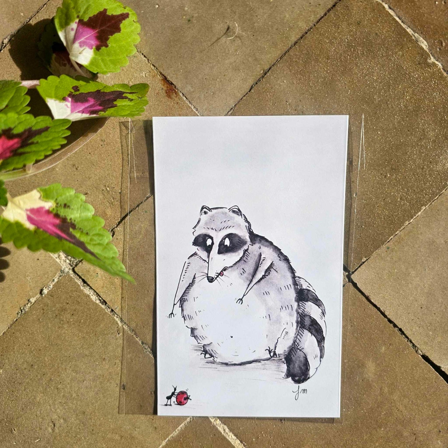 Carte humoristique : Gros raton laveur vs petite fourmi - Art drôle et fait main