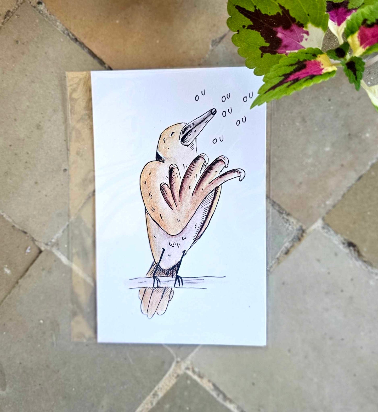 Carte illustrée humoristique - Oiseau rigolo "Ou Ou" tourterelle - Carte originale dessinée à la main