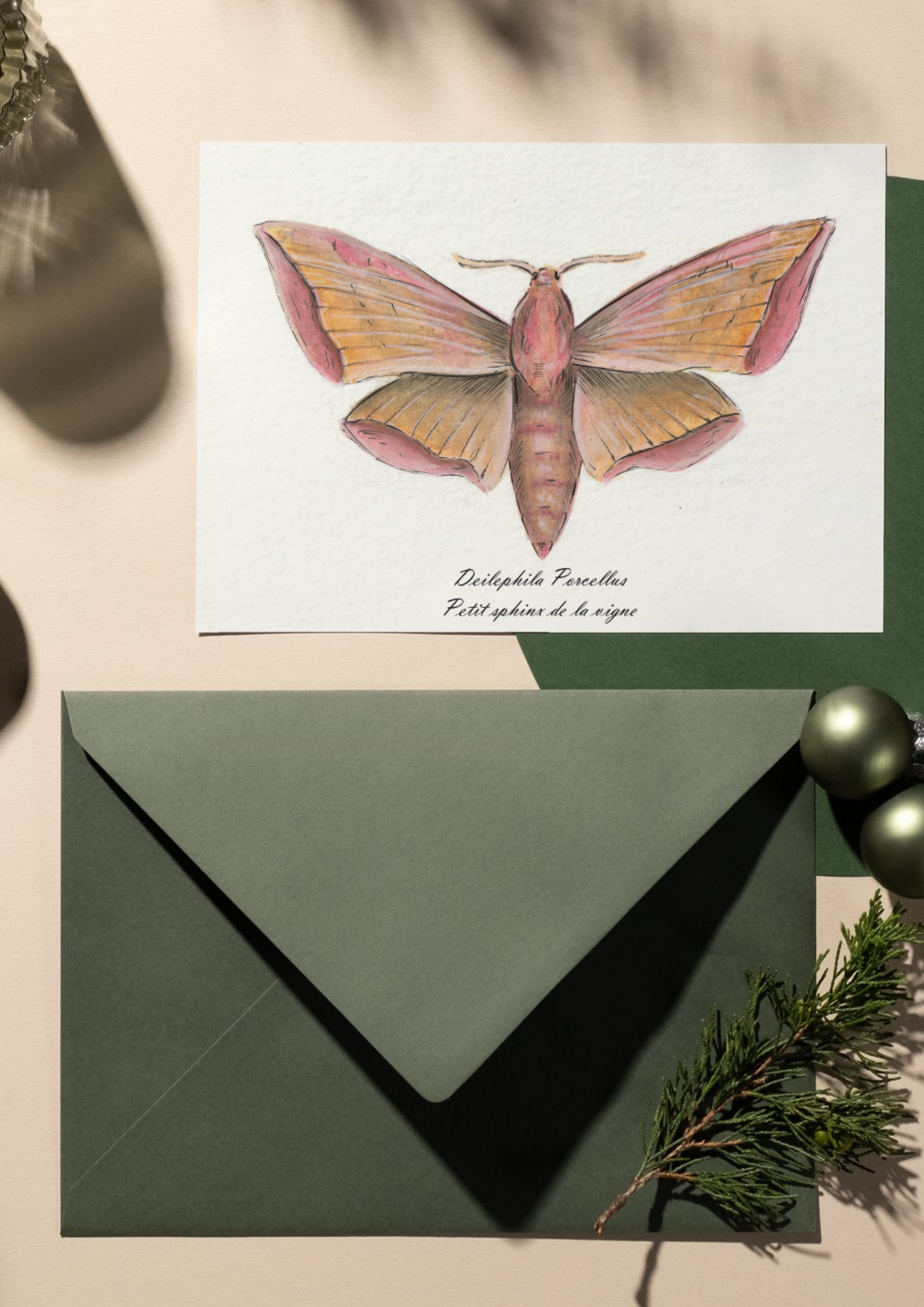Carte Entomologie - Petit sphinx de la vigne