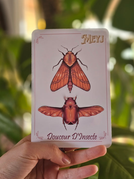 La Carte Douceur d'Insecte