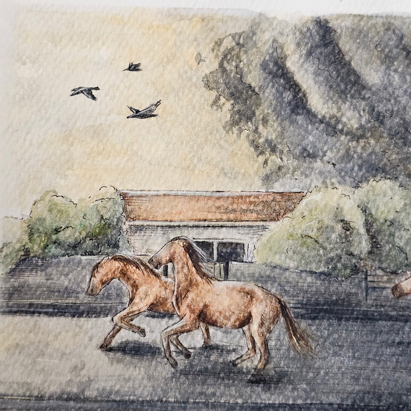 Illustration - Faut se détendre - Représentation des incendies en France 2026